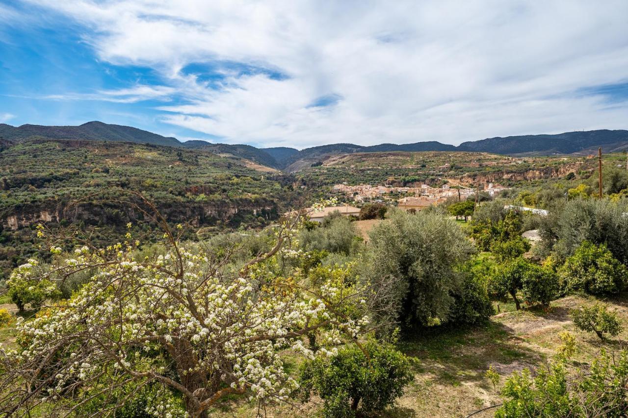 Casilla De Adela Holiday home Albunuelas